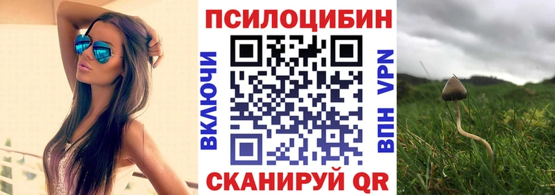 Купить  Серафимович  Псилоцибиновые грибы Psilocybe 